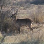 IMG_2578